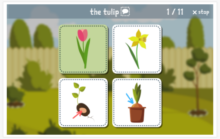 Taaltoets (lezen en luisteren) van het thema Tuin van de app Engels voor kinderen