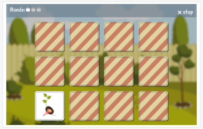 Memoryspel van het thema Tuin van de app Nederlands voor kinderen