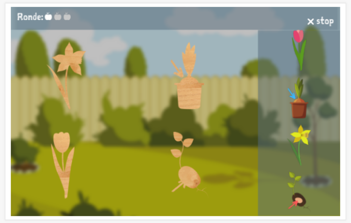 Puzzelspel van het thema Tuin van de app Nederlands voor kinderen