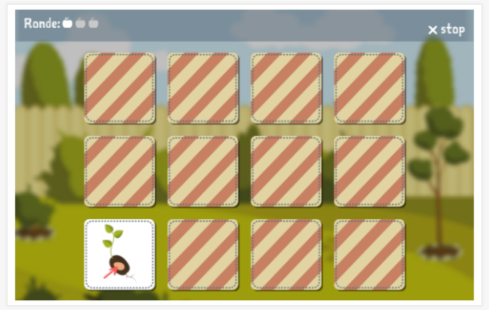 Memoryspel van het thema Tuin van de app Pools voor kinderen